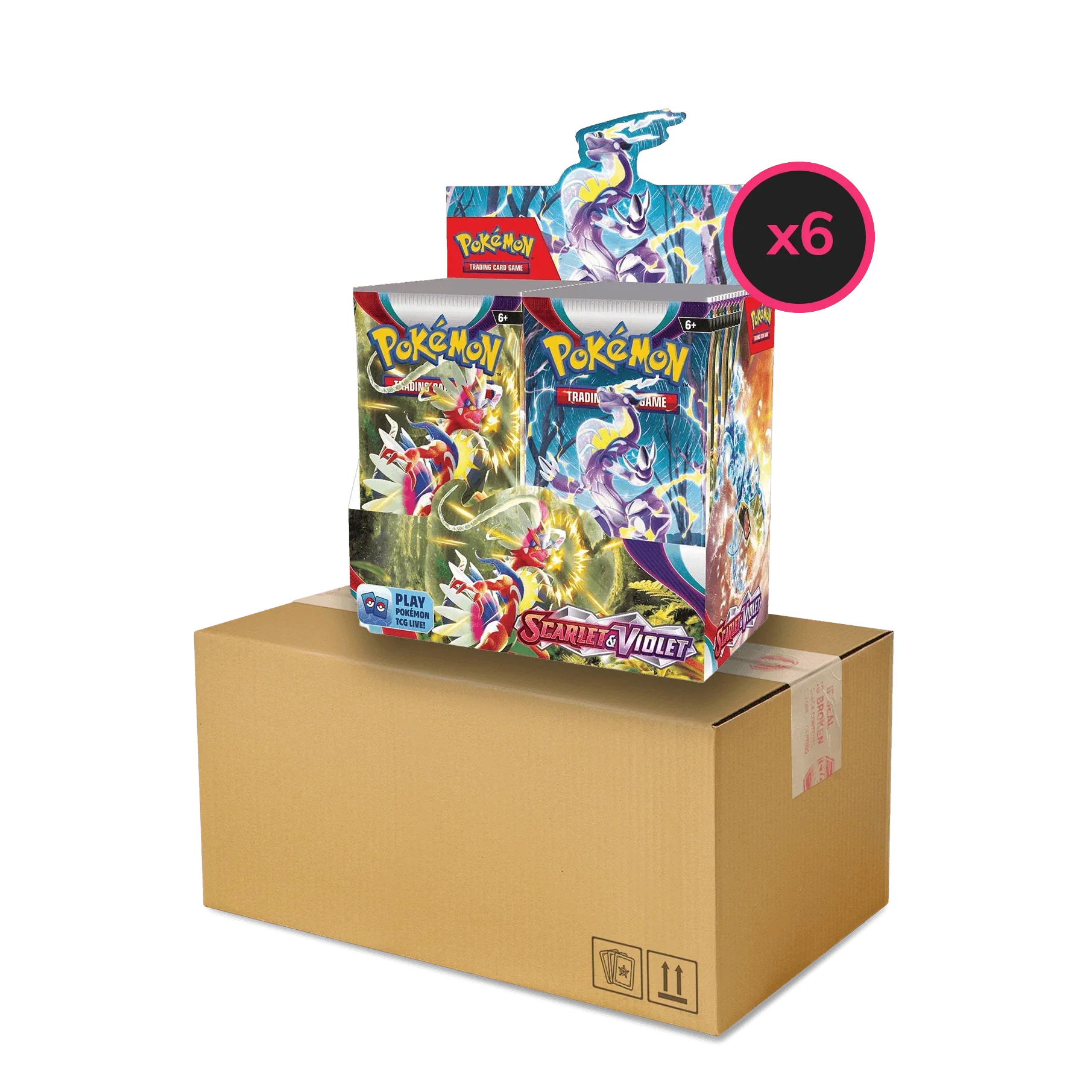 Pokemon TCG - Scarlet & Violet - Base Set - Display Case (6x Booster Boxes)