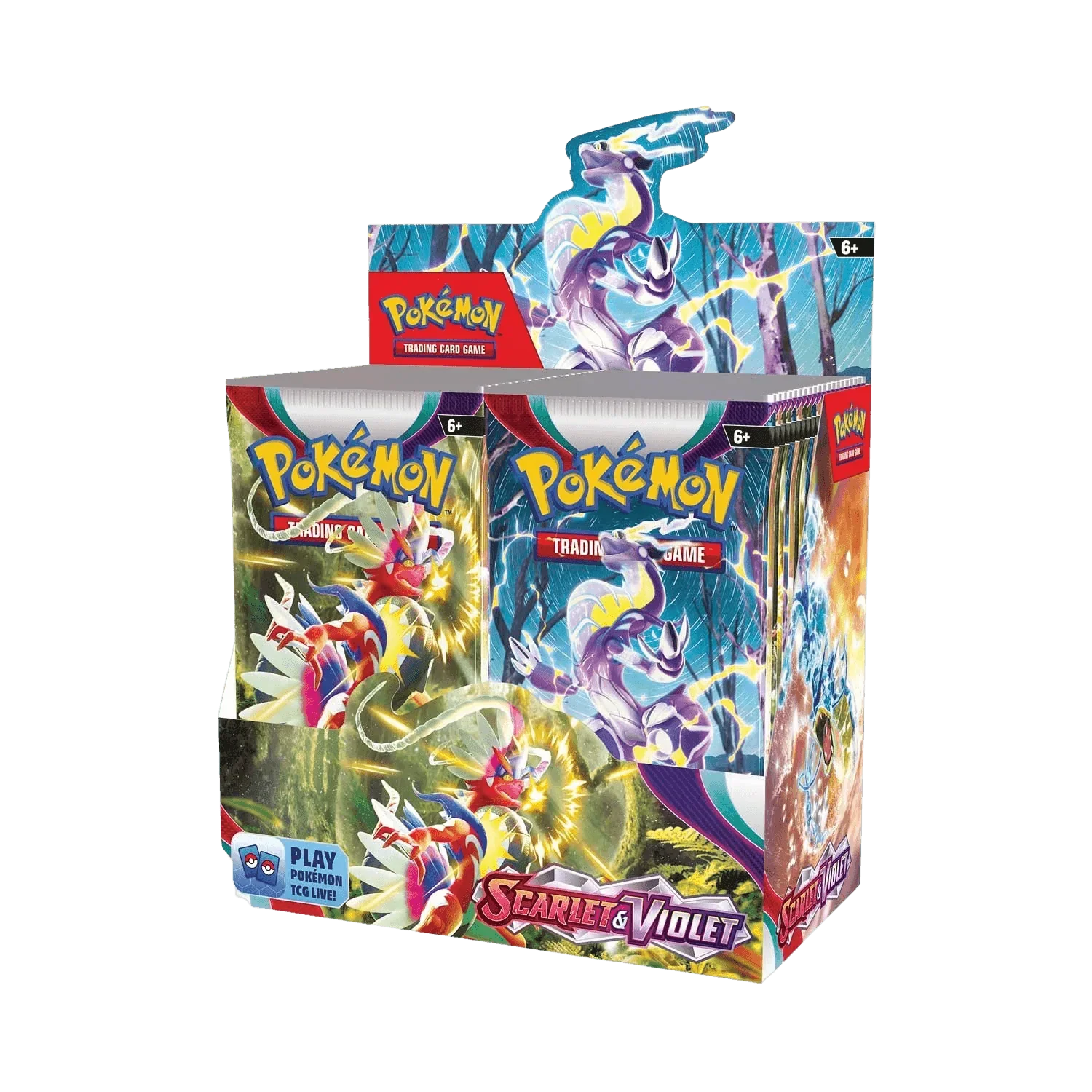 Pokemon TCG - Scarlet & Violet - Base Set - Display Case (6x Booster Boxes)
